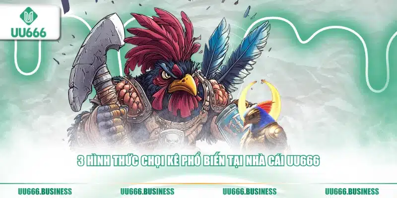 Đá Gà UU666 6 3 hình thức chọi kê UU666
