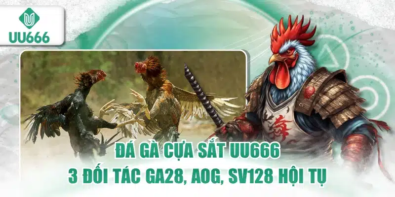 Đá Gà Cựa Sắt UU666