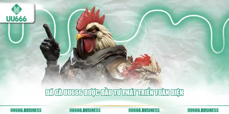Đá Gà UU666 3 Đá gà UU666 được đầu tư nhiều