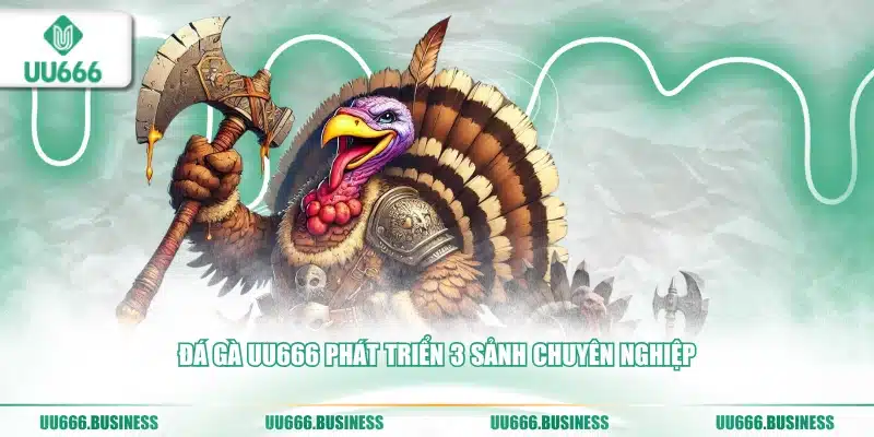 Đá Gà UU666 5 3 sảnh Đá gà UU666