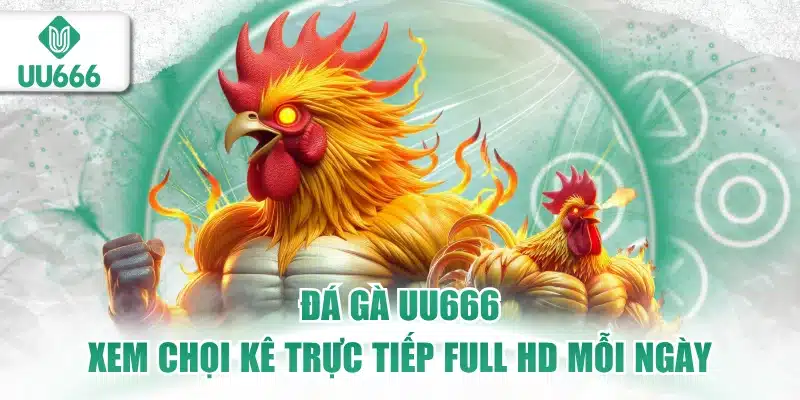 Đá Gà UU666 1 đá gà uu666