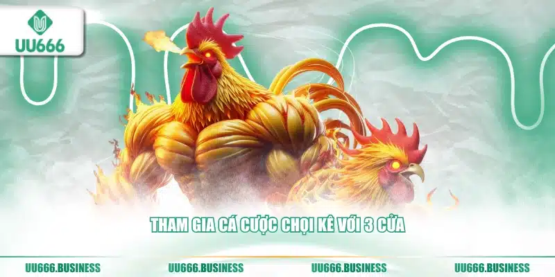 Đá Gà UU666 4 3 cửa đá gà uu666